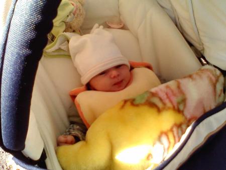 la promenade du dimanche